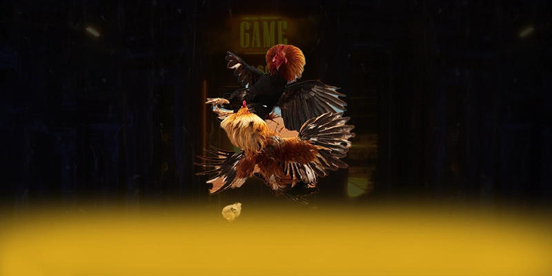 tài xỉu online - Kết luận & gợi ý trải nghiệm với đầy đủ ưu điểm nổi bật.