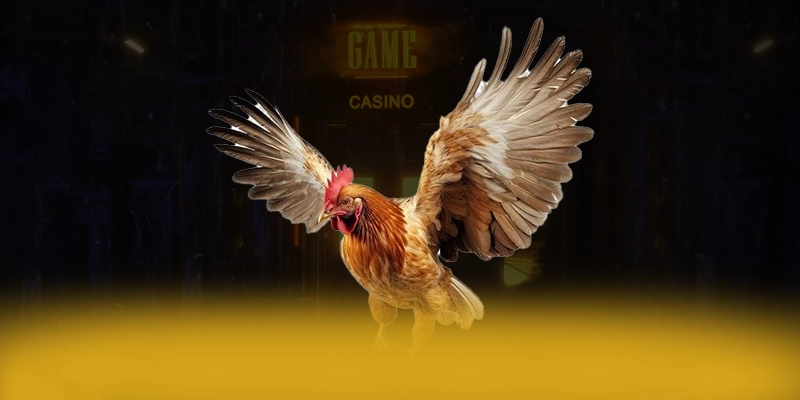 GA6789 - Kết luận tổng thể về nền tảng này từ trải nghiệm thực tế.