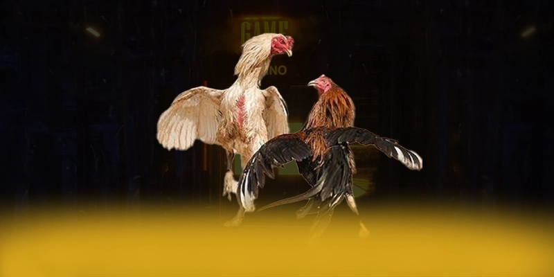 
Cập nhật thông tin về Tài xỉu online - Cổng giải trí được nhiều người chơi lựa chọn số 1 Việt Nam
