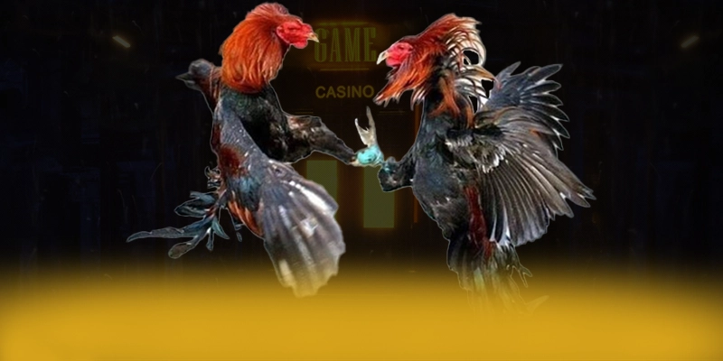 DAGA88 - Nhìn lại toàn bộ ưu điểm một cách toàn diện.