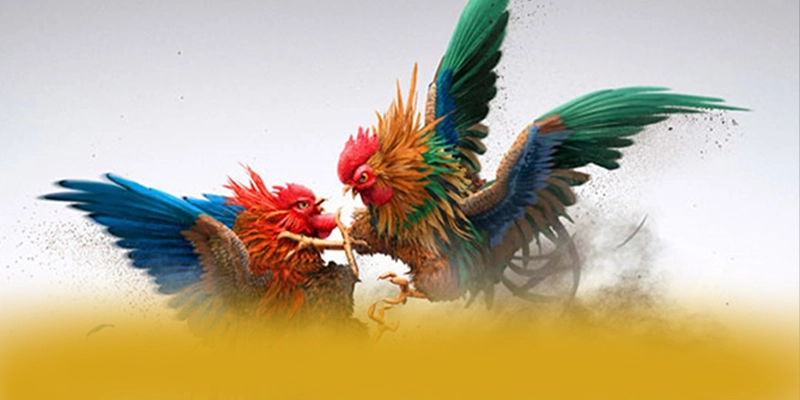 
Khám phá LC88 - Sảnh game được tin dùng được cộng đồng đánh giá cao
