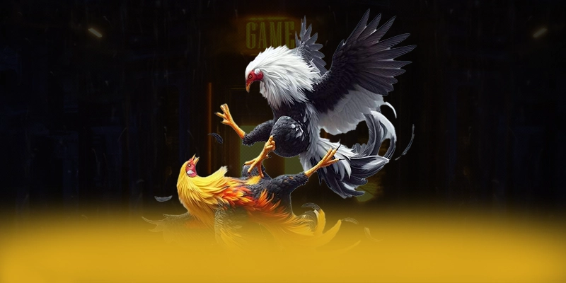 NK88 - Trang game mang đến trải nghiệm giải trí đỉnh cao hiện nay – Khám phá thế giới giải trí tại NK88