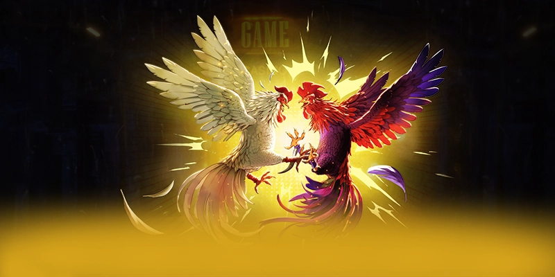 KKWIN – Thương hiệu chất lượng, được cộng đồng đánh giá tích cực.