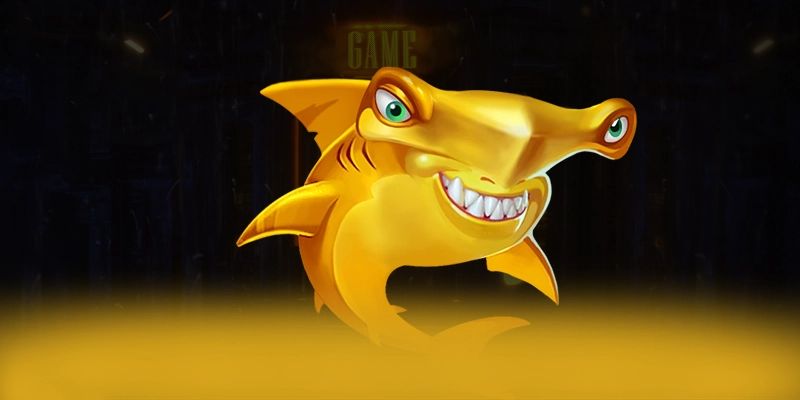 B52 - Tổng quan về hệ thống một cách tổng quan.